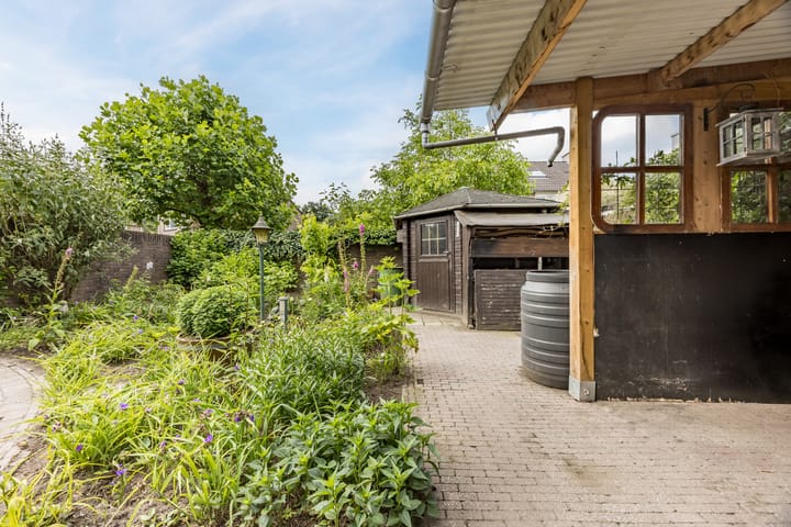 Foto 37 van Hoefblad 105