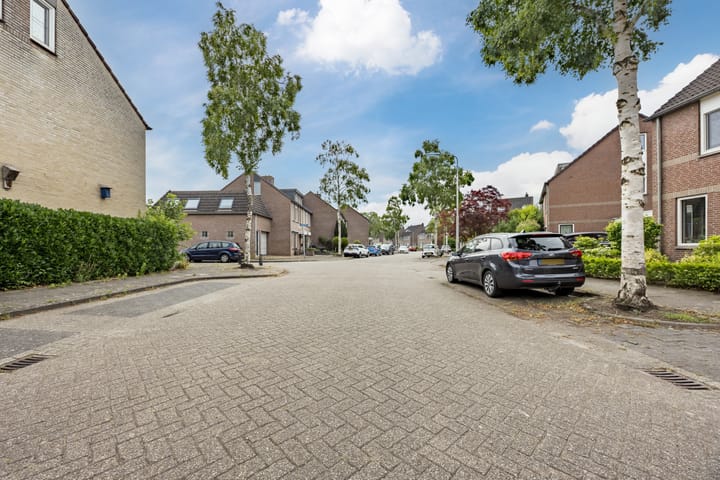 Foto 41 van Hoefblad 105