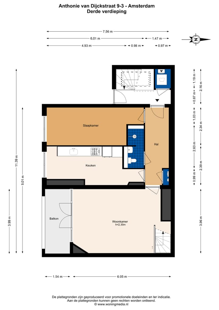 Foto 21 van Anthonie van Dijckstraat 9-3