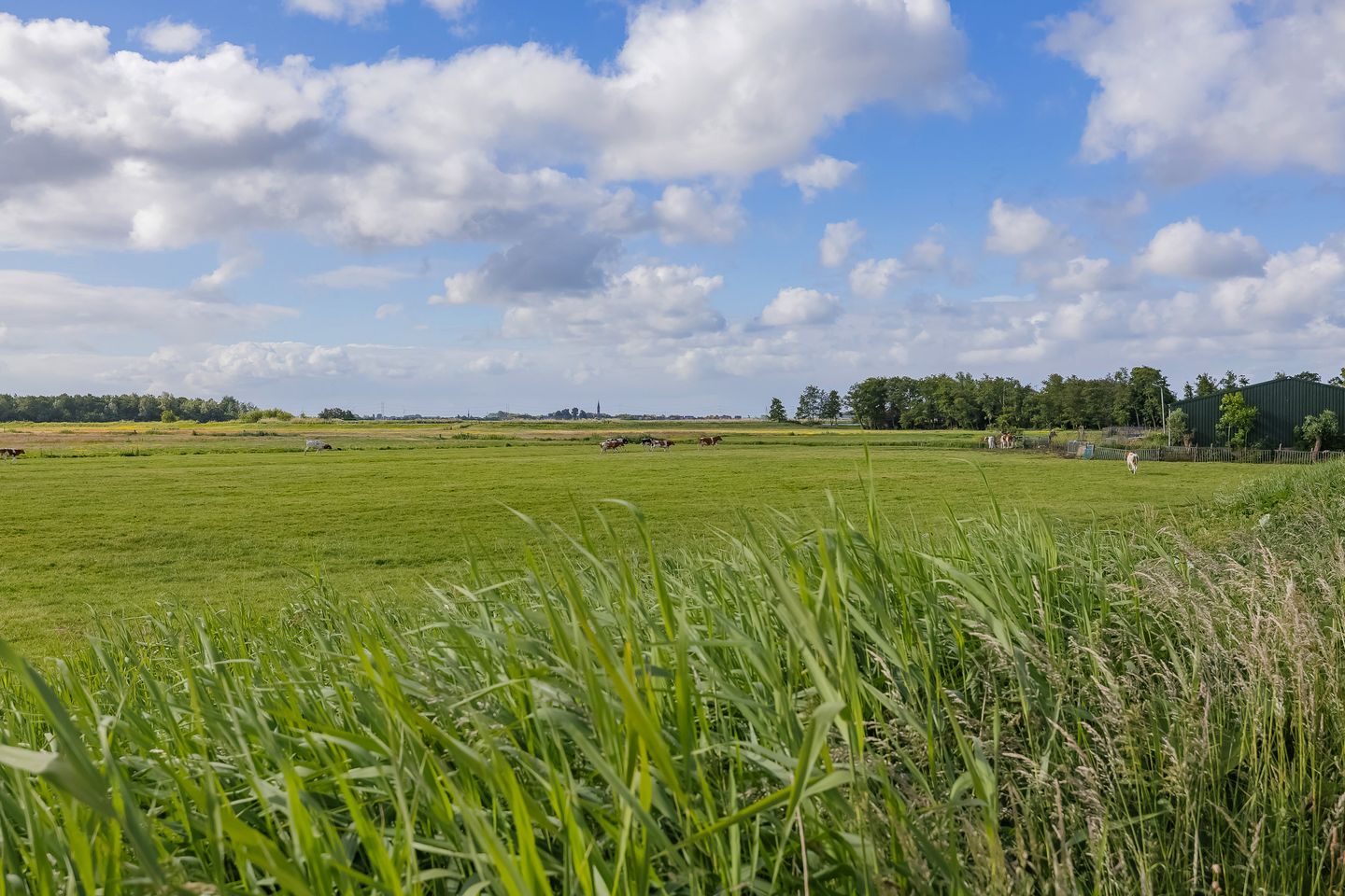 Foto 64 van Nassaulaan 12