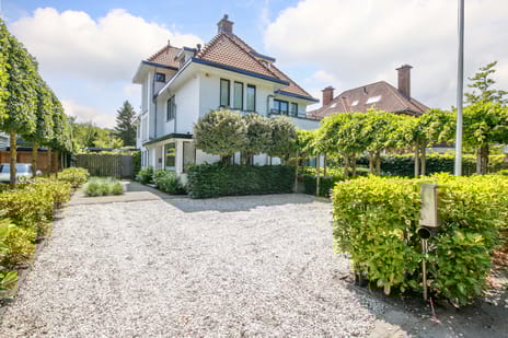 Wittenburgerweg 160 tertiary image