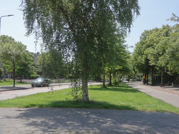 Foto 2 van Burggravenlaan 2-S