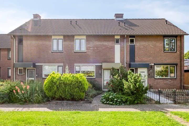 undefined main image