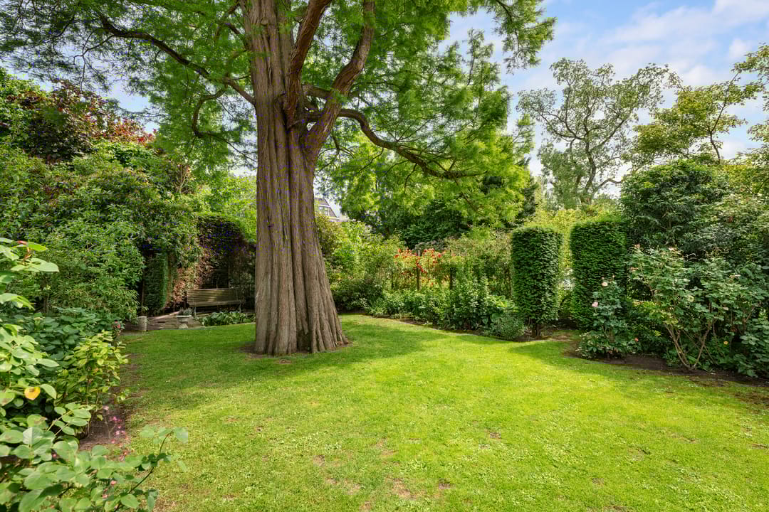 Foto 41 van Hoflaan 38