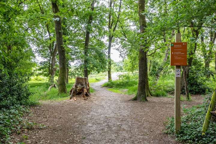 Photo 47 of Schipborgerweg 19-28