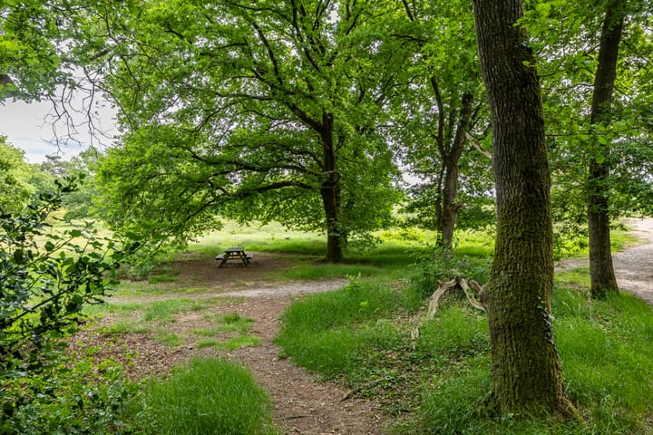 Photo 49 of Schipborgerweg 19-28