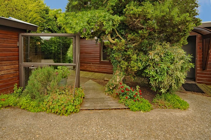 Foto 19 van Dotterbloem 13