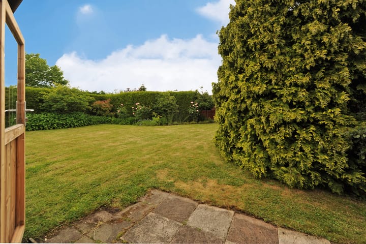 Foto 27 van Dotterbloem 13