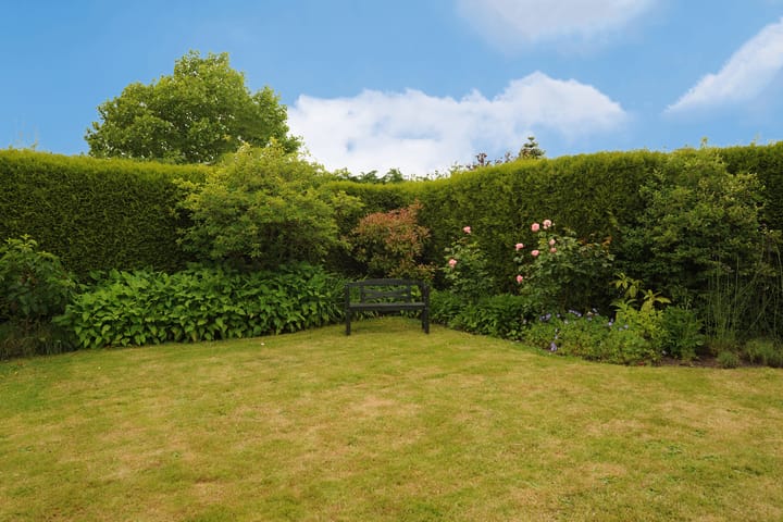 Foto 28 van Dotterbloem 13