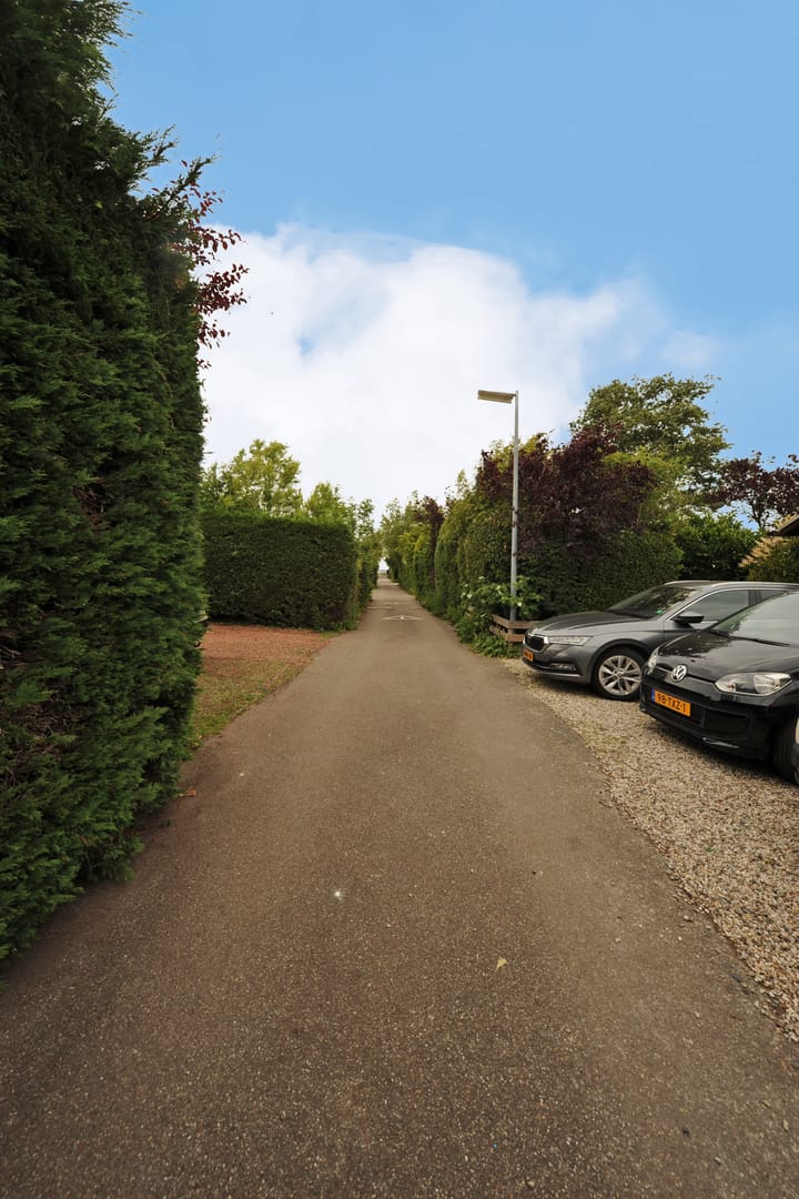 Foto 31 van Dotterbloem 13