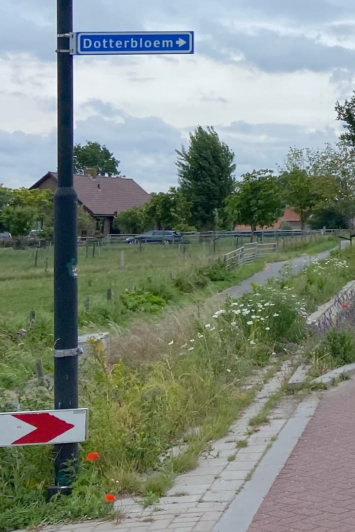 Foto 36 van Dotterbloem 13