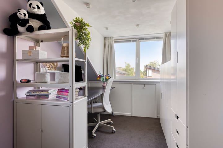 Photo 33 of Jonkersveld 6