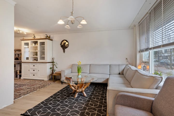 Foto 11 van Agger 46