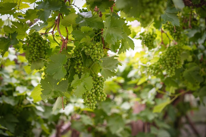 Foto 52 van Hoefweg 18