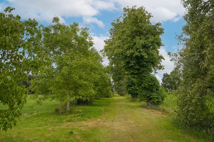 Foto 56 van Hoefweg 18