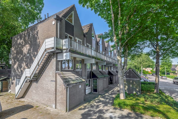 Foto 2 van Weidezoom 10