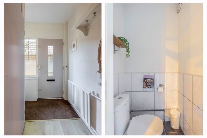 Foto 5 van Weidezoom 10