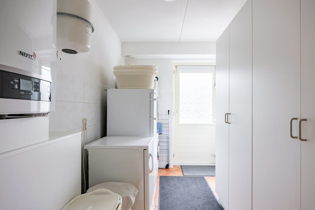 Foto 28 van Zwaan 28