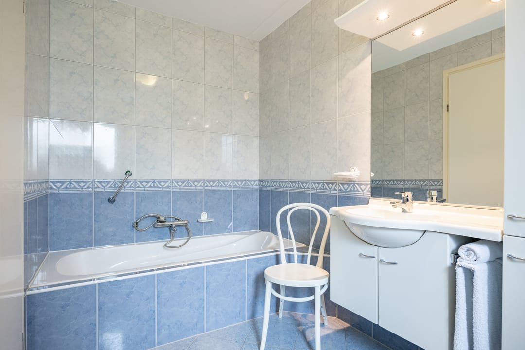 Foto 31 van Zwaan 28