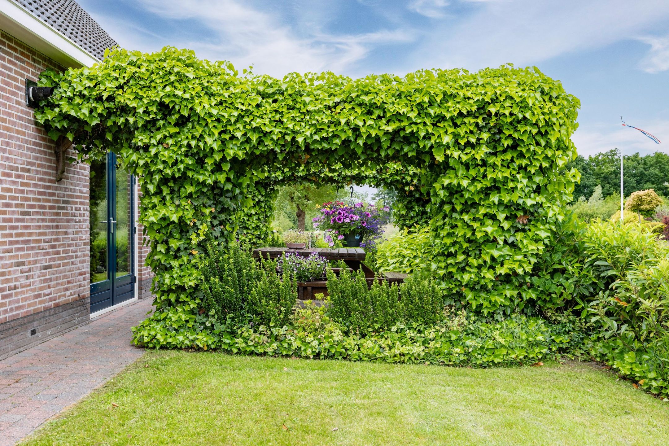 Foto 51 van Zwaan 28