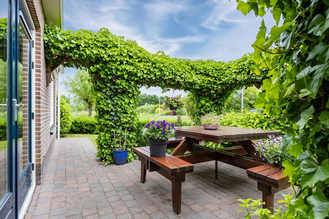 Foto 52 van Zwaan 28