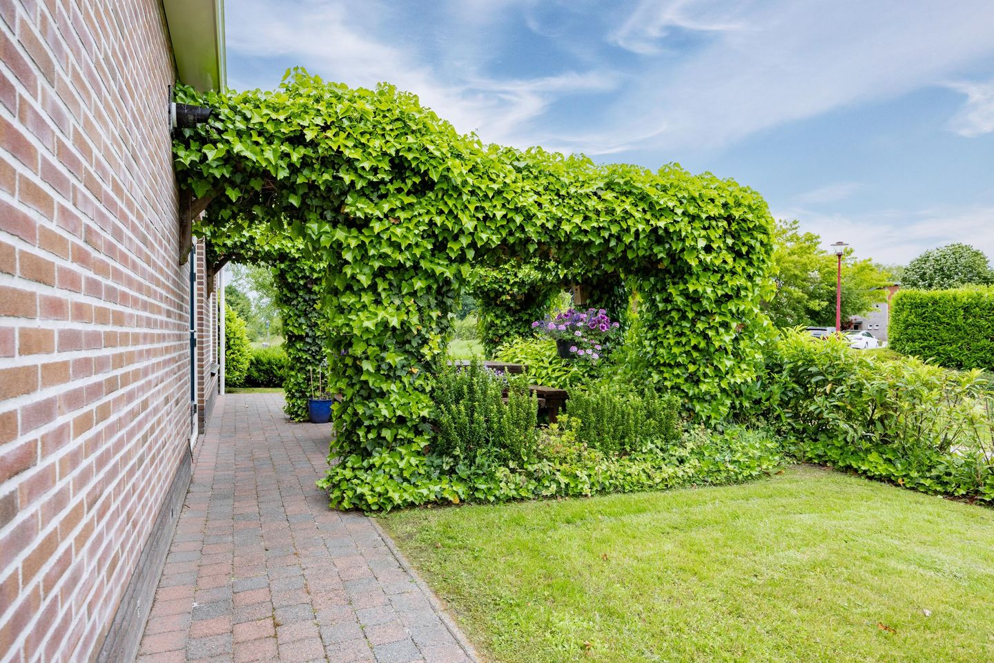 Foto 50 van Zwaan 28