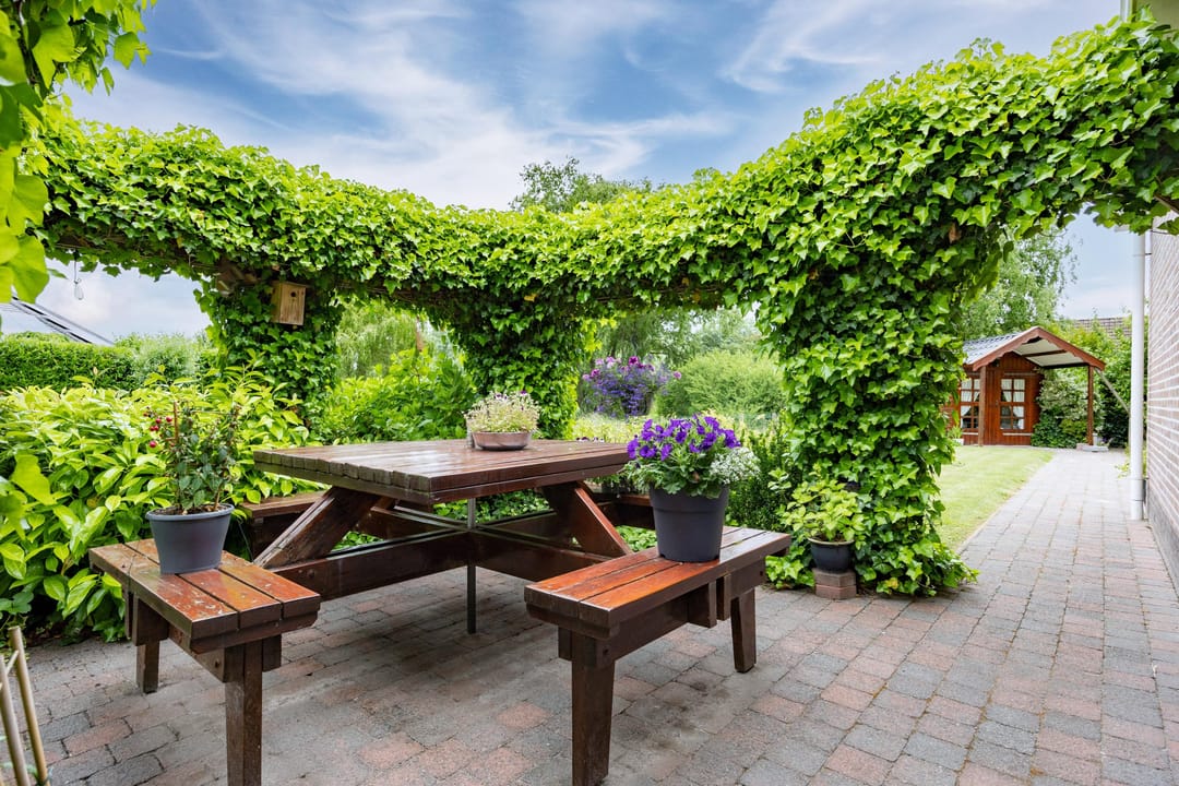 Foto 53 van Zwaan 28