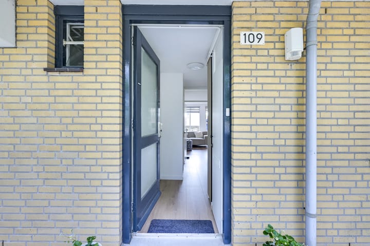 Foto 5 van Hoornseschans 109