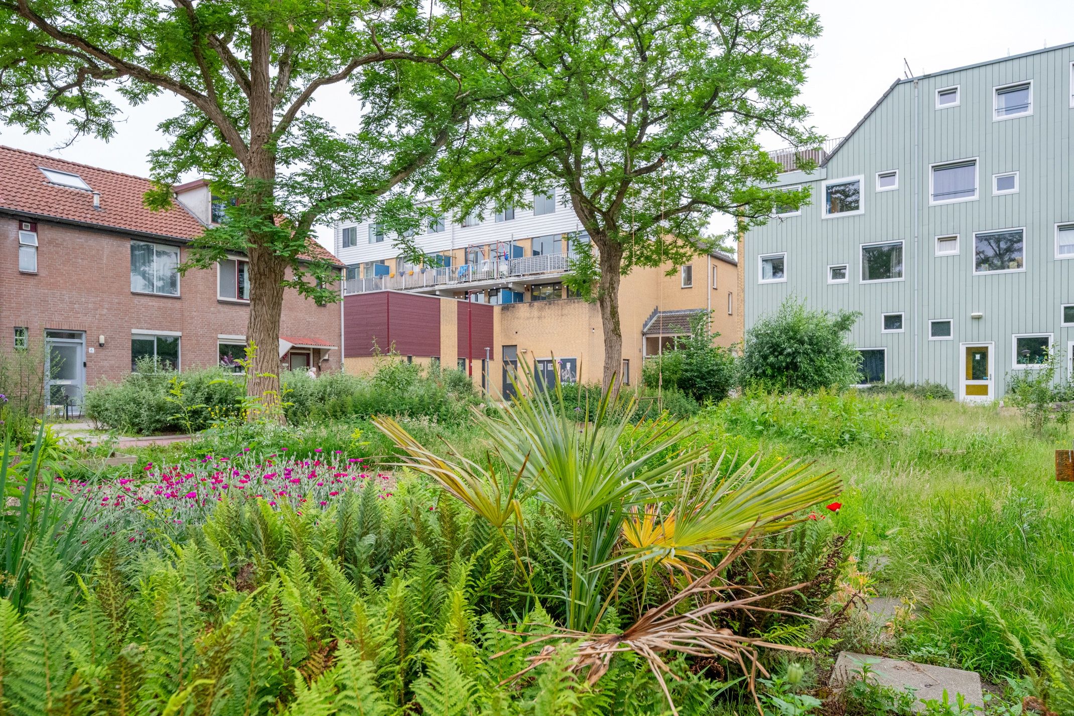 Photo 51 of Hoornseschans 109