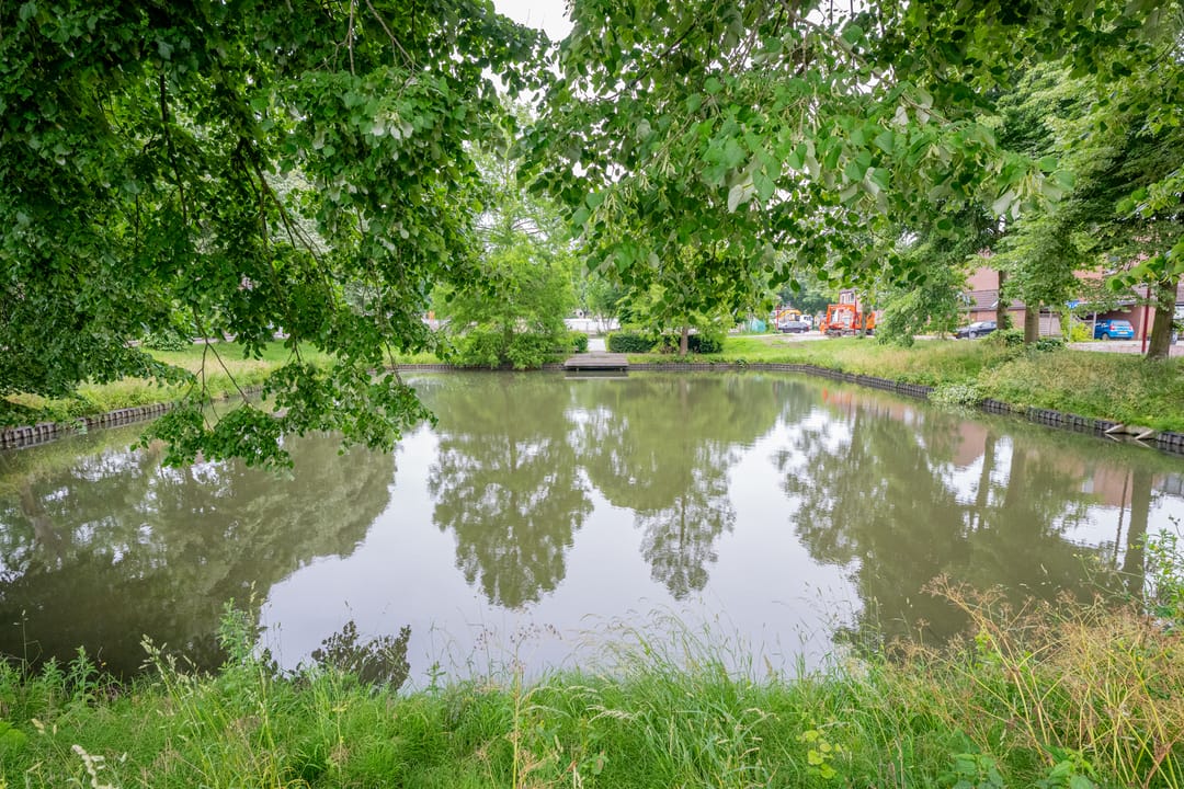 Photo 52 of Hoornseschans 109