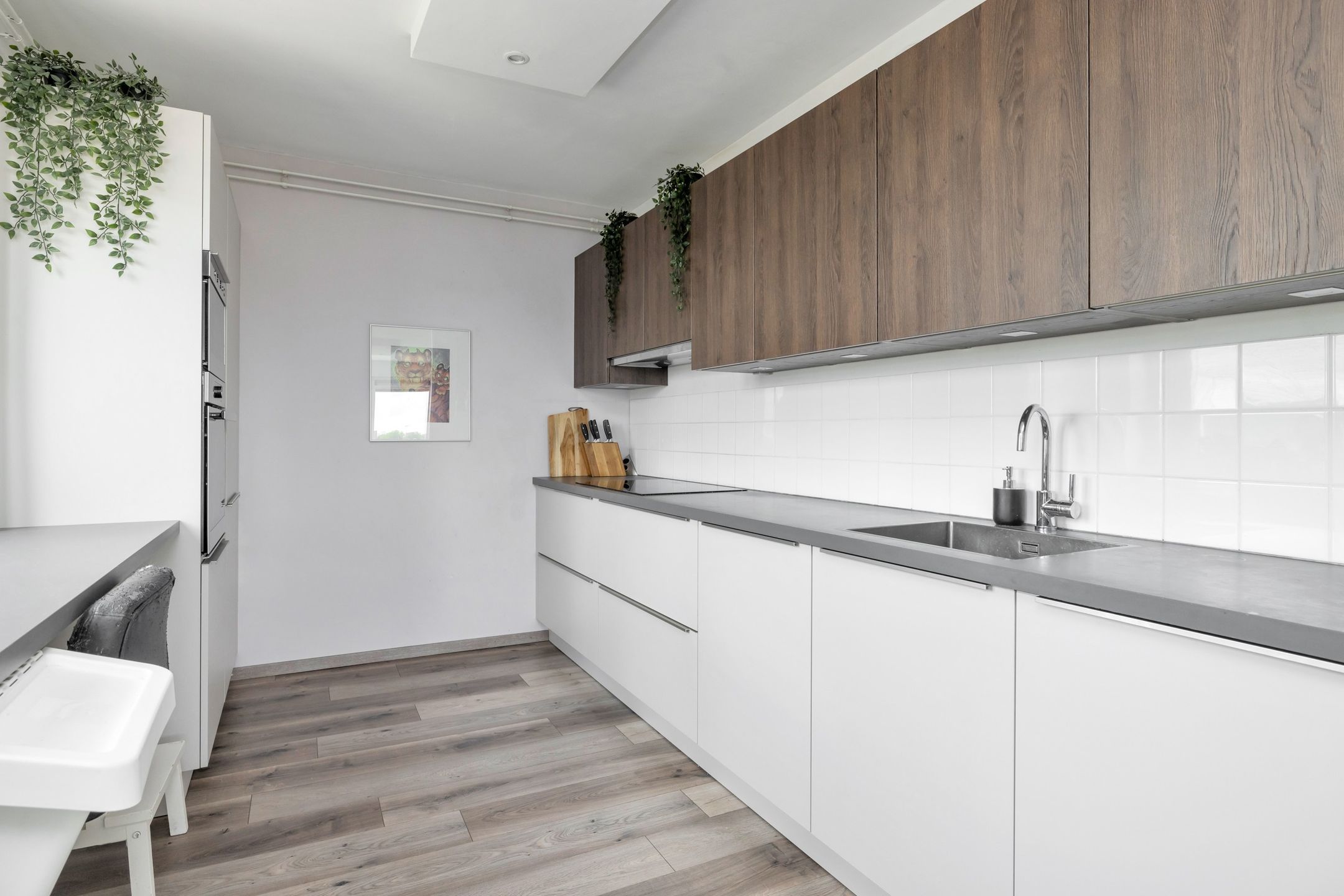 Foto 3 van Ringspoor 42