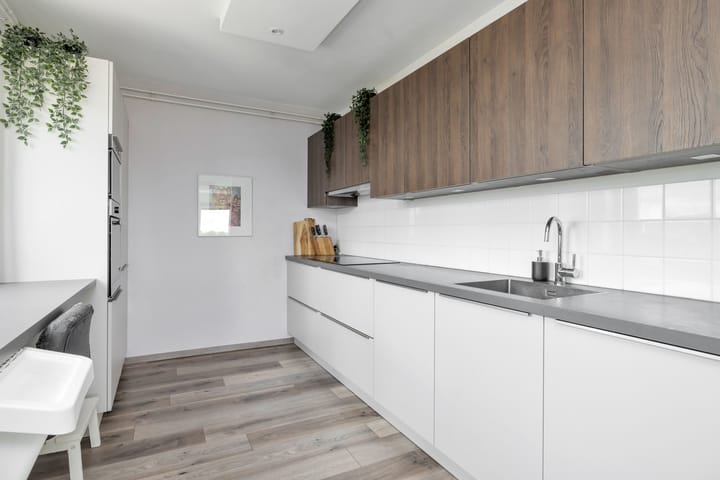 Foto 3 van Ringspoor 42