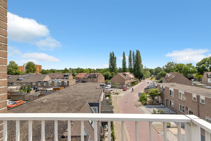 Photo 38 of Ringspoor 42