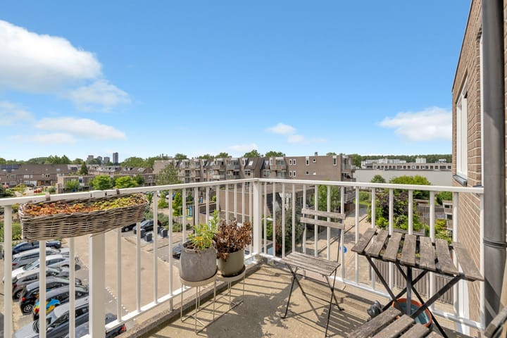 Photo 37 of Ringspoor 42