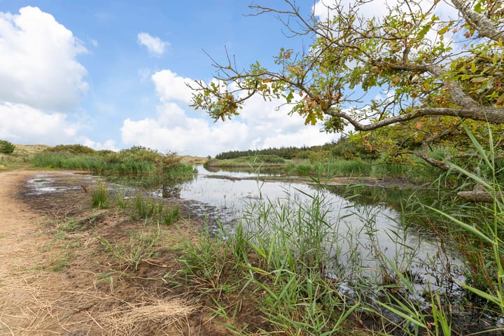 Foto 41 van Westerduinweg 8-A