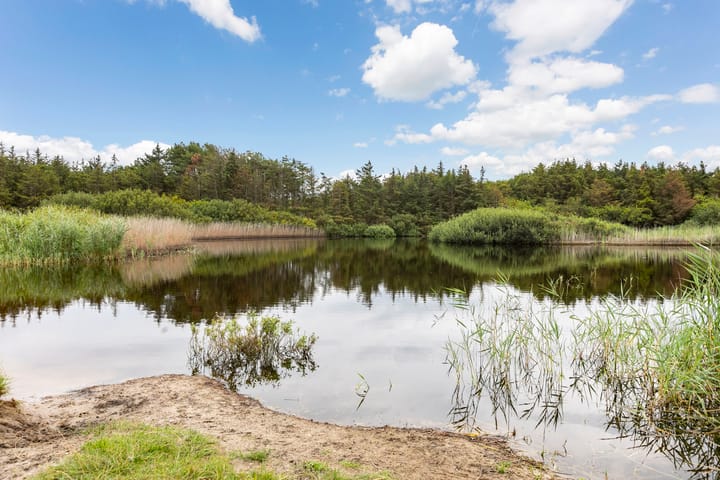 Foto 42 van Westerduinweg 8-A