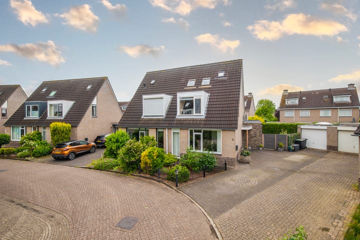 Foto 5 van Goudreinette 6