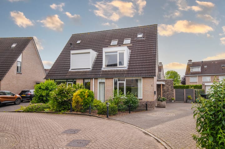 Foto 6 van Goudreinette 6