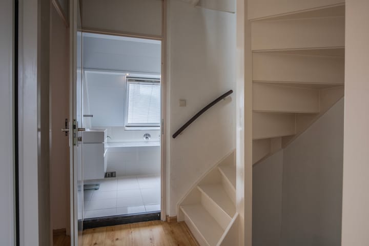 Foto 44 van Goudreinette 6