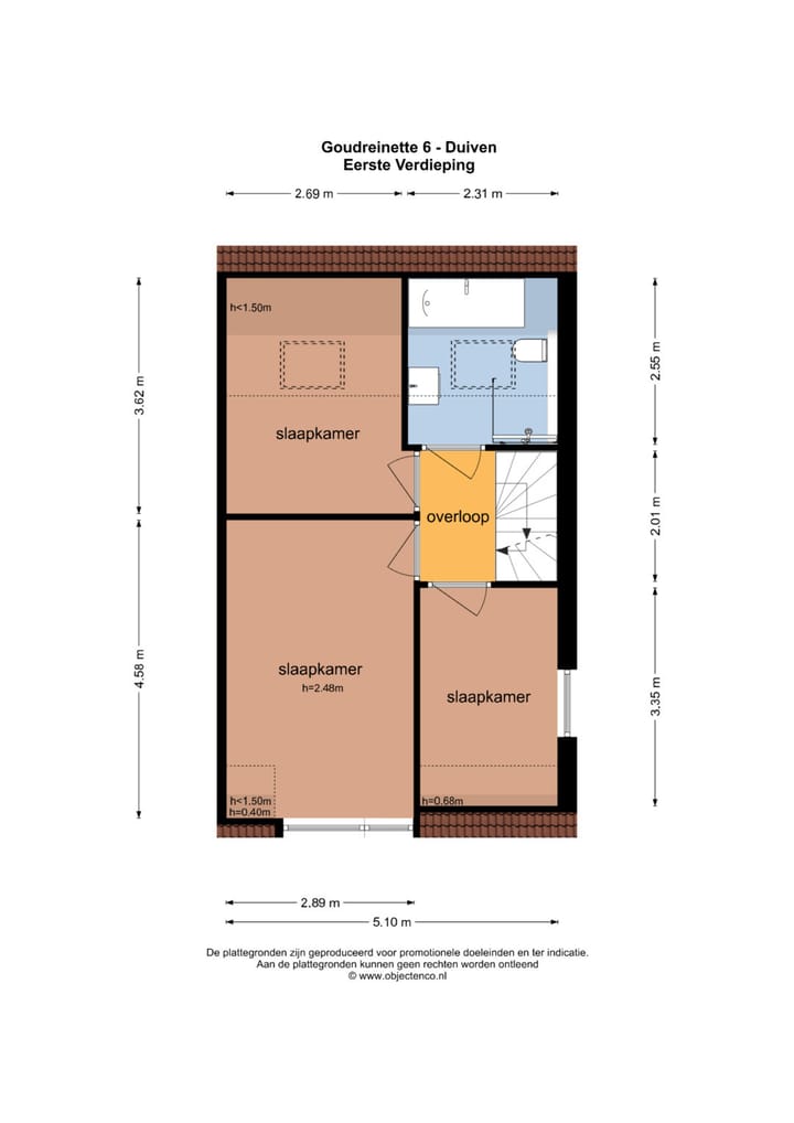 Foto 53 van Goudreinette 6