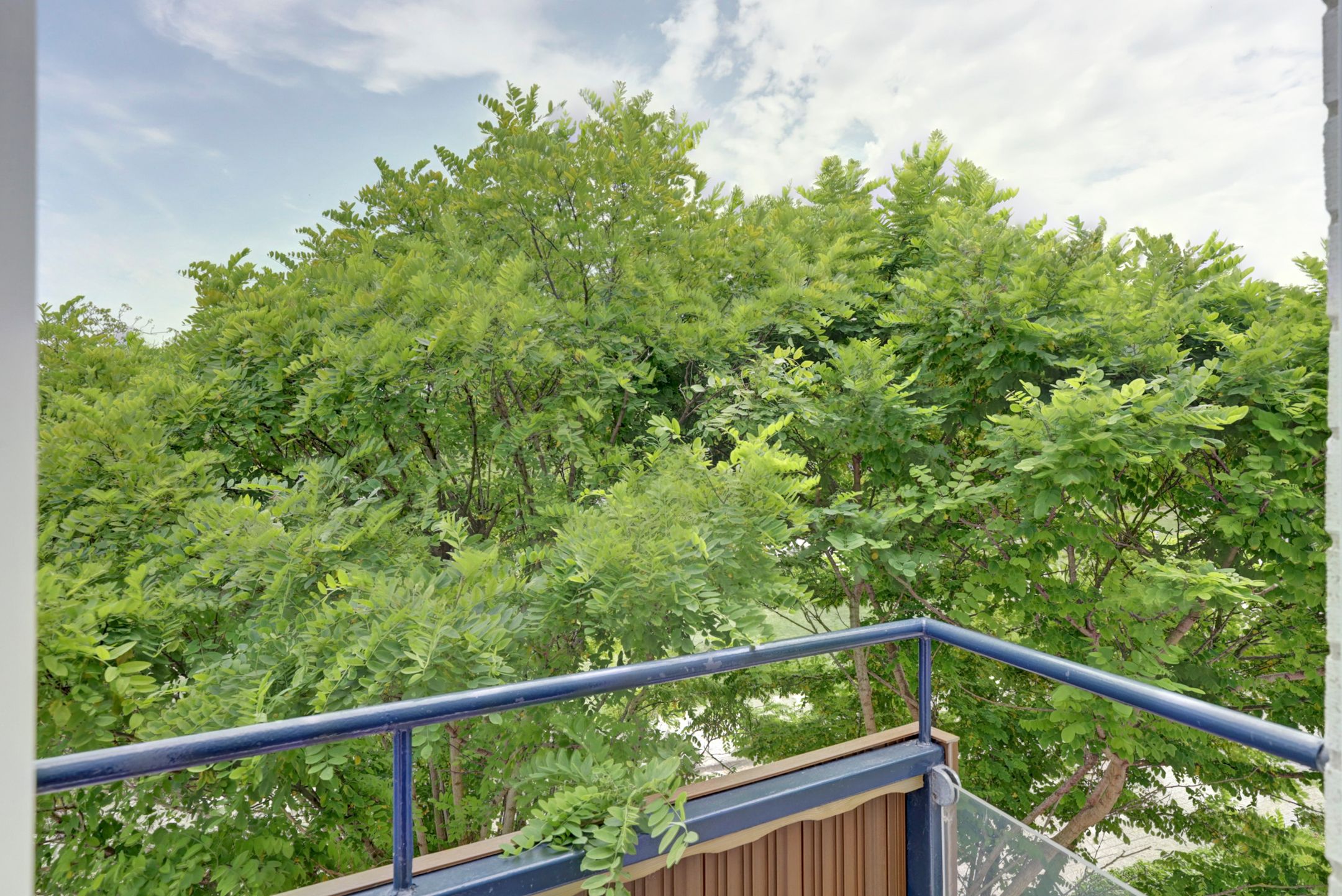 Photo 36 of Nienke van Hichtumlaan 3