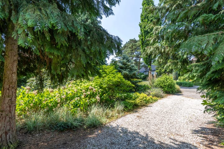 Foto 9 van Kuluutsheuvel 12