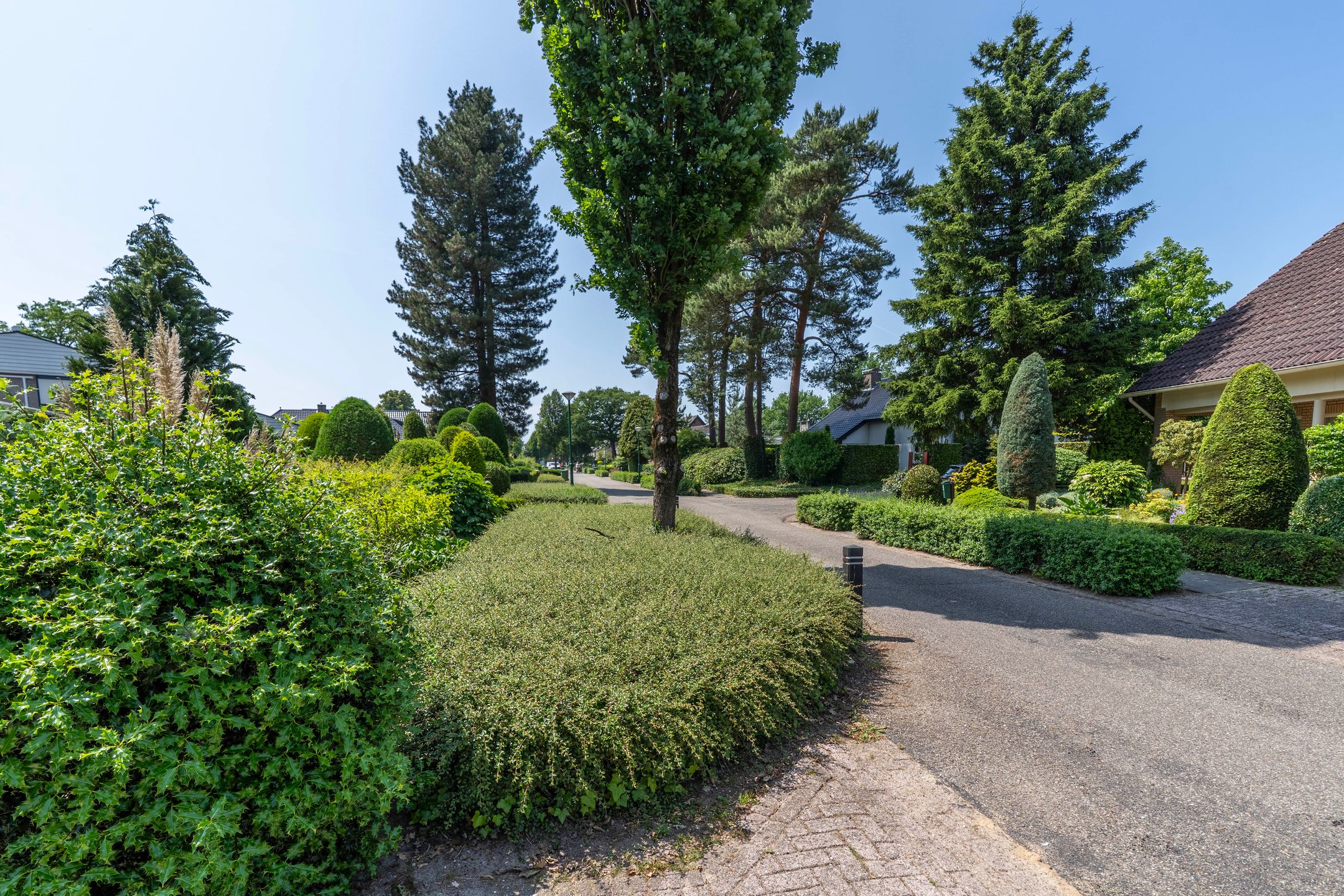 Foto 3 van Kuluutsheuvel 12