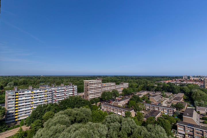 Foto 24 van Forellendaal 248