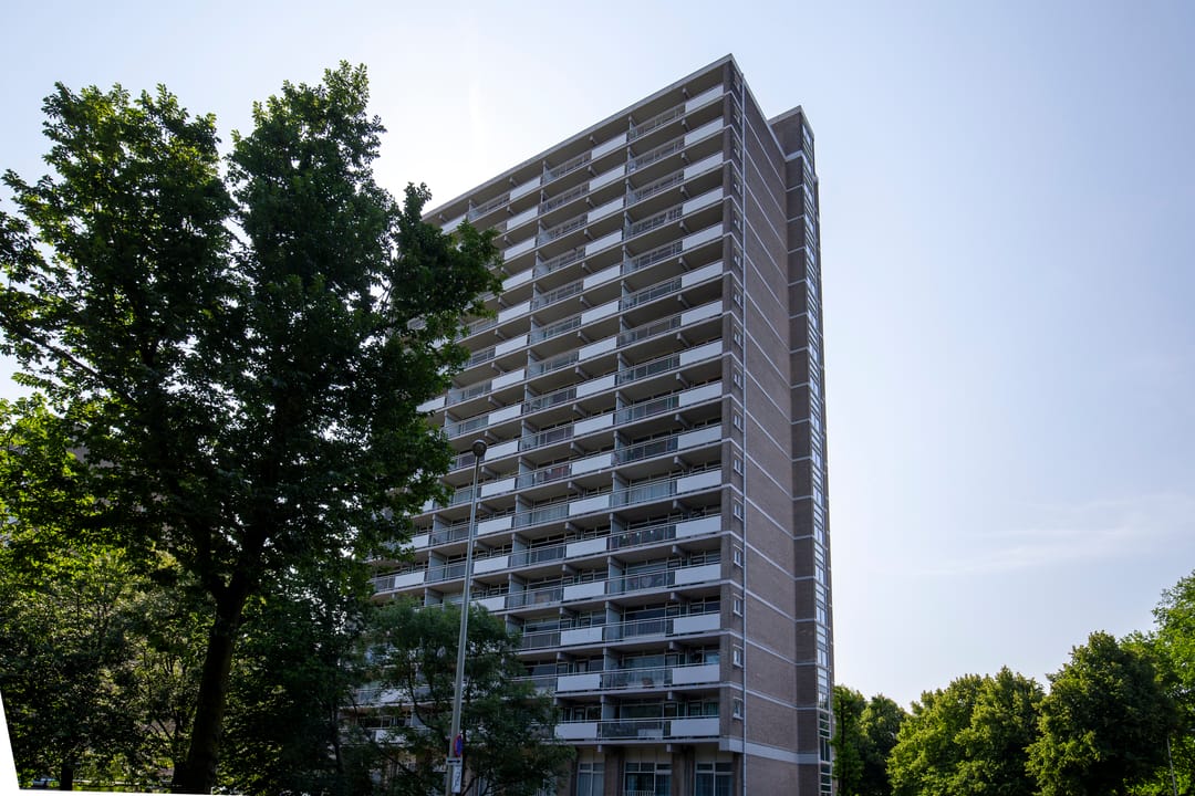 Foto 31 van Forellendaal 248