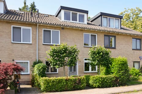 undefined main image