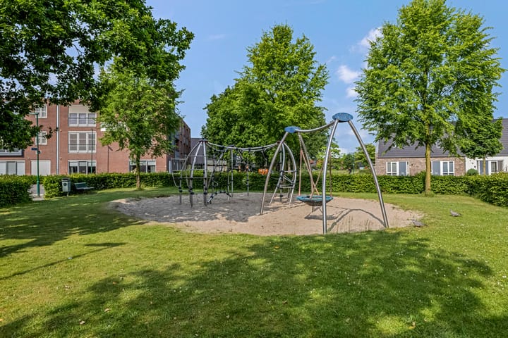 Foto 2 van Knoopkruid 7