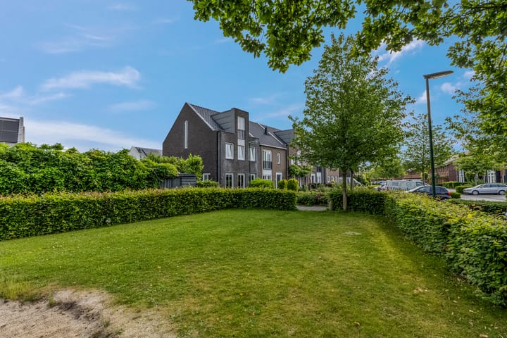 Foto 10 van Knoopkruid 7