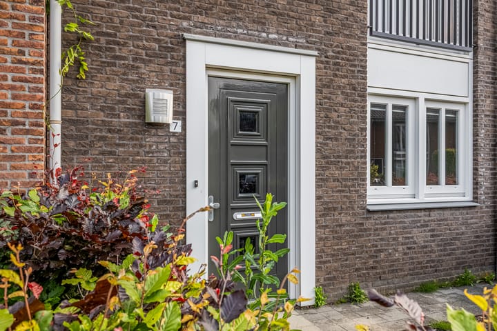 Foto 11 van Knoopkruid 7