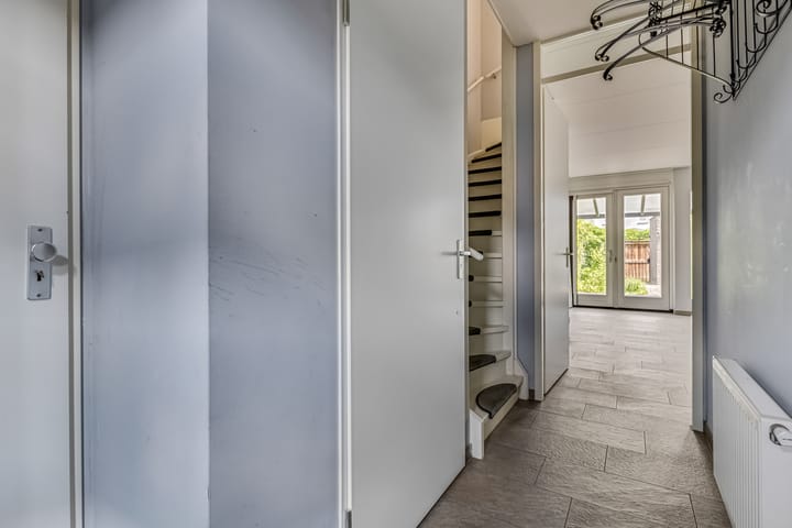 Foto 13 van Knoopkruid 7